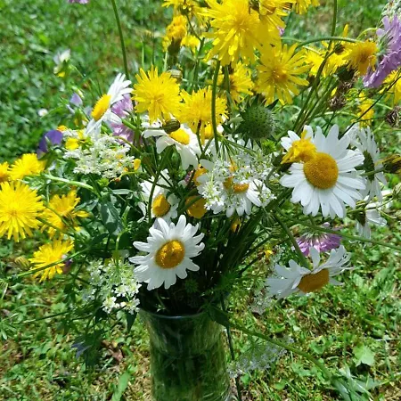 Holiday Home Vila Bjelasnica Tatil Evi *