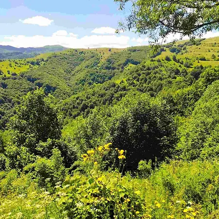 Holiday Home Vila Bjelasnica Bjelašnica